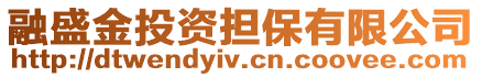 融盛金投資擔(dān)保有限公司