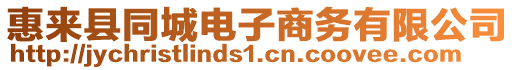 惠來縣同城電子商務(wù)有限公司