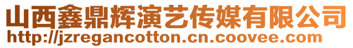 山西鑫鼎輝演藝傳媒有限公司