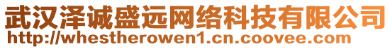 武漢澤誠盛遠網(wǎng)絡(luò)科技有限公司