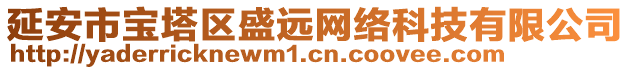 延安市寶塔區(qū)盛遠(yuǎn)網(wǎng)絡(luò)科技有限公司