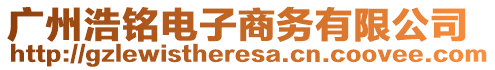 廣州浩銘電子商務(wù)有限公司