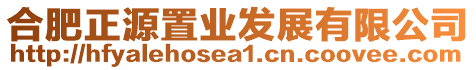 合肥正源置業(yè)發(fā)展有限公司