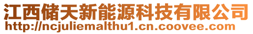 江西儲天新能源科技有限公司