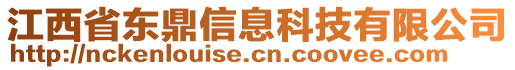 江西省東鼎信息科技有限公司