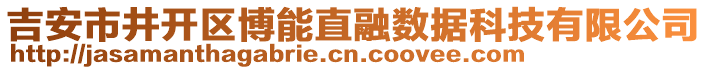 吉安市井開區(qū)博能直融數(shù)據(jù)科技有限公司