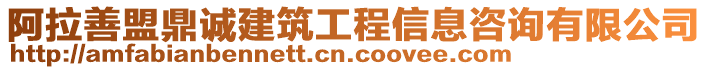 阿拉善盟鼎誠(chéng)建筑工程信息咨詢有限公司