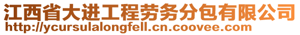 江西省大進(jìn)工程勞務(wù)分包有限公司