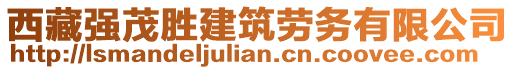 西藏強(qiáng)茂勝建筑勞務(wù)有限公司