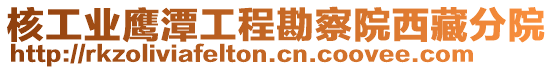 核工業(yè)鷹潭工程勘察院西藏分院