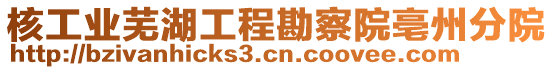 核工業(yè)蕪湖工程勘察院亳州分院