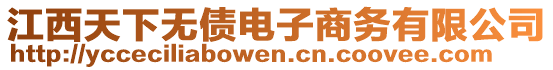 江西天下无债电子商务有限公司