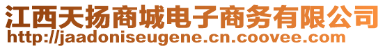 江西天揚(yáng)商城電子商務(wù)有限公司
