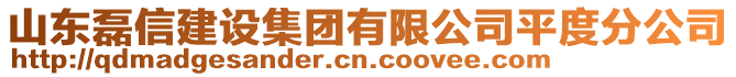 山東磊信建設集團有限公司平度分公司