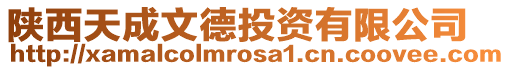 陜西天成文德投資有限公司