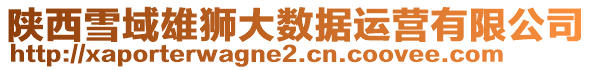 陜西雪域雄獅大數(shù)據(jù)運(yùn)營(yíng)有限公司