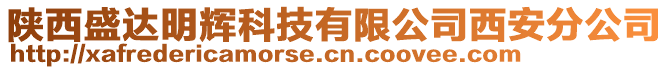 陜西盛達(dá)明輝科技有限公司西安分公司