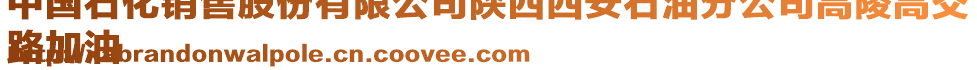 中國(guó)石化銷售股份有限公司陜西西安石油分公司高陵高交
路加油