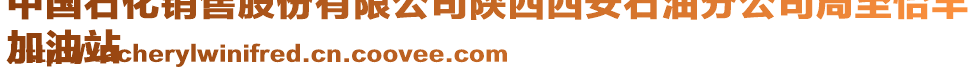 中國石化銷售股份有限公司陜西西安石油分公司周至怡豐
加油站