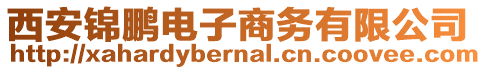 西安锦鹏电子商务有限公司