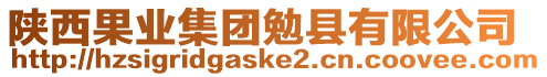 陜西果業(yè)集團(tuán)勉縣有限公司