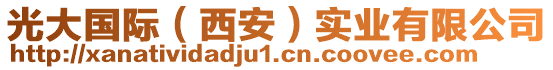 光大國(guó)際（西安）實(shí)業(yè)有限公司