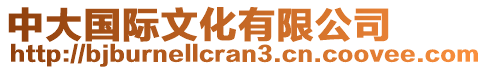 中大國(guó)際文化有限公司