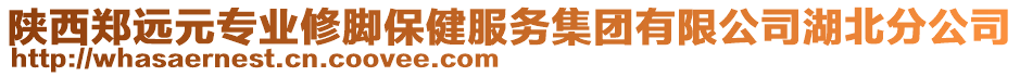 陜西鄭遠(yuǎn)元專業(yè)修腳保健服務(wù)集團(tuán)有限公司湖北分公司