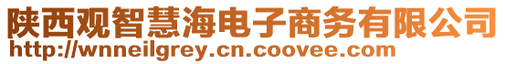 陜西觀智慧海電子商務(wù)有限公司