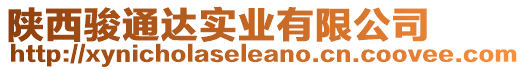 陜西駿通達(dá)實(shí)業(yè)有限公司