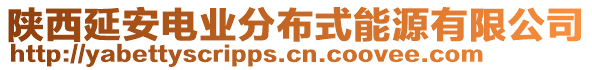 陜西延安電業(yè)分布式能源有限公司