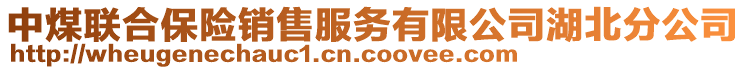 中煤聯(lián)合保險(xiǎn)銷(xiāo)售服務(wù)有限公司湖北分公司