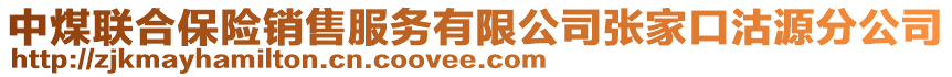 中煤联合保险销售服务有限公司张家口沽源分公司