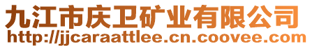 九江市慶衛(wèi)礦業(yè)有限公司