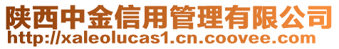 陕西中金信用管理有限公司