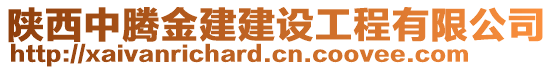 陜西中騰金建建設工程有限公司