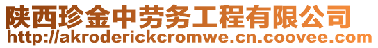 陜西珍金中勞務(wù)工程有限公司
