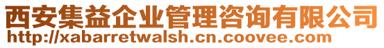 西安集益企業(yè)管理咨詢有限公司