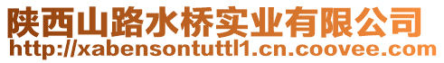 陜西山路水橋?qū)崢I(yè)有限公司
