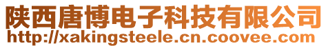 陜西唐博電子科技有限公司