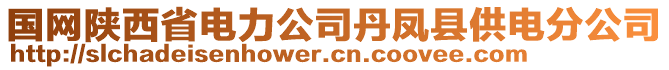 國(guó)網(wǎng)陜西省電力公司丹鳳縣供電分公司