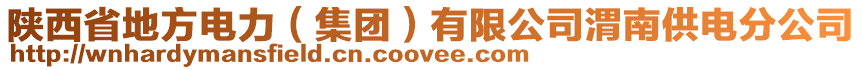 陜西省地方電力（集團）有限公司渭南供電分公司