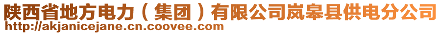 陜西省地方電力（集團）有限公司嵐皋縣供電分公司