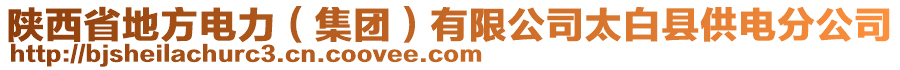 陜西省地方電力（集團）有限公司太白縣供電分公司