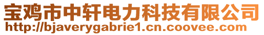 寶雞市中軒電力科技有限公司