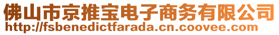 佛山市京推寶電子商務(wù)有限公司