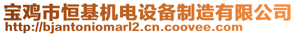 寶雞市恒基機電設備制造有限公司
