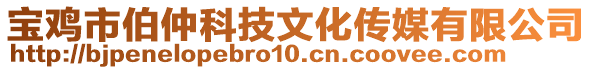 寶雞市伯仲科技文化傳媒有限公司