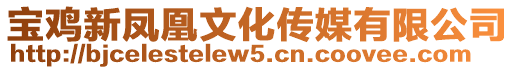 寶雞新鳳凰文化傳媒有限公司