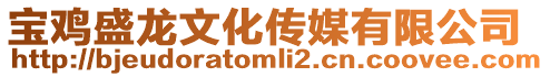 寶雞盛龍文化傳媒有限公司